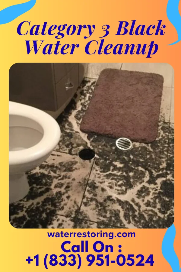 Category 3 Black Water Cleanup in Hoboken, GA